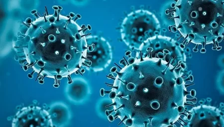 Koronavirüs salgını son durum