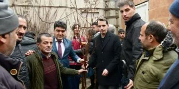 catak-fidan