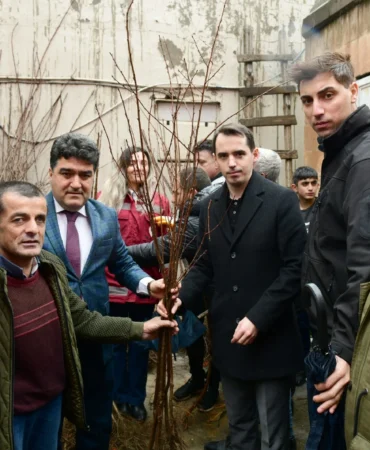 catak-fidan