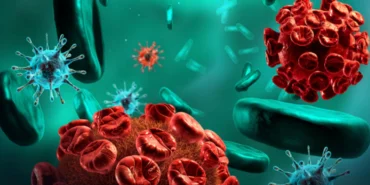 hepatit-2