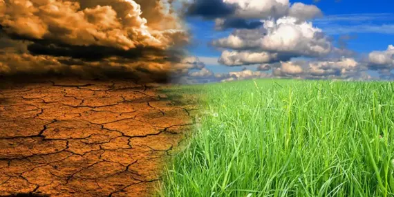İklim Değişikliği Etkileri Nelerdir?