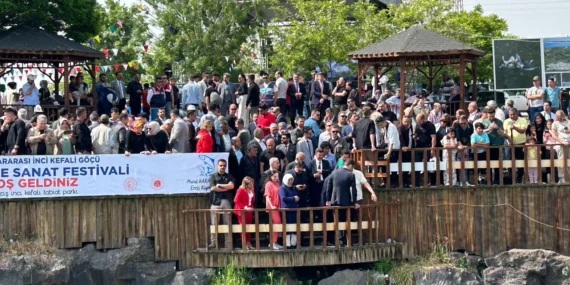 90 bin kişi inci kefallerinin göçünü izledi