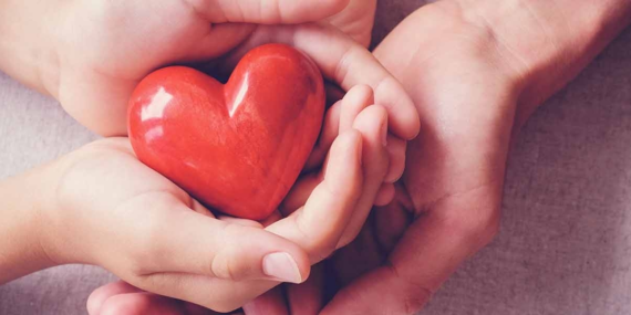 Organ Bağışı Nedir?