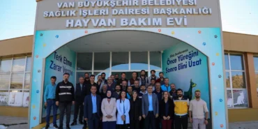 van-hayvan-bakim
