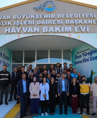 van-hayvan-bakim