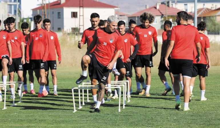 vanspor_231
