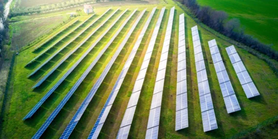 2024’ün enerjide kazananı ‘Güneş’ oldu
