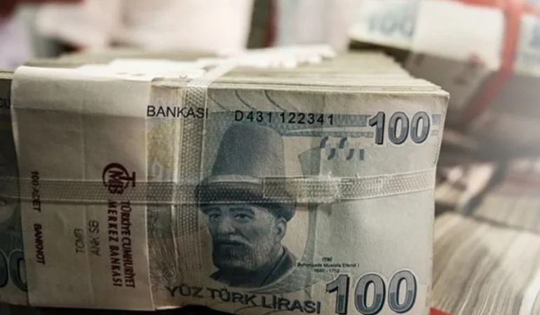 merkezi-butceler-mukerrer-resmi-lesti-1735639484-864_large.webp