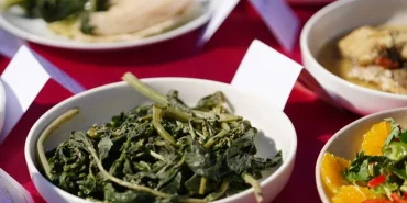 Gastrofest
