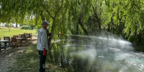 Van Büyükşehir Belediyesi ilaçlama çalışmaları