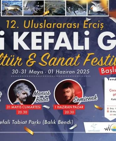 inci-kefali-gocu