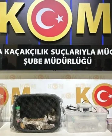 kom