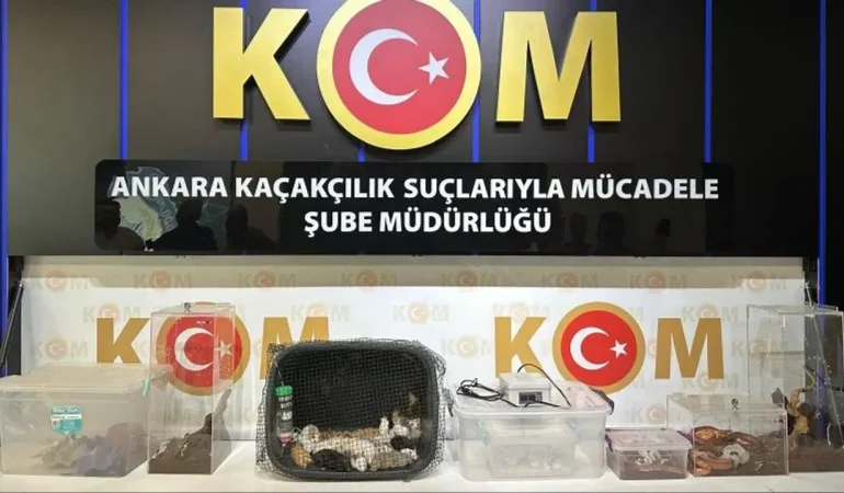 kom