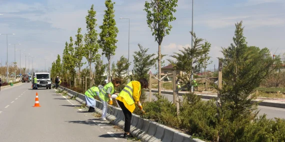Büyükşehir’den Sahil Yolunda çalışma