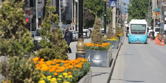 Van’da cadde ve kavşaklar çicek açtı