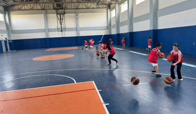 van-basketbol