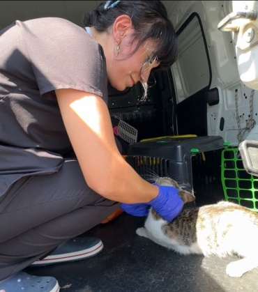 3-gu-ndu-r-ag-ac-ta-mahsurdu-3-1756886439-224-x750