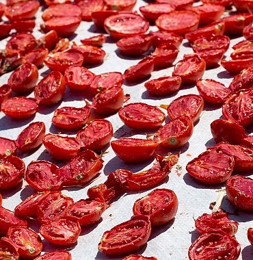 kuru-domates-ihracati-100-milyon-dolari-asti