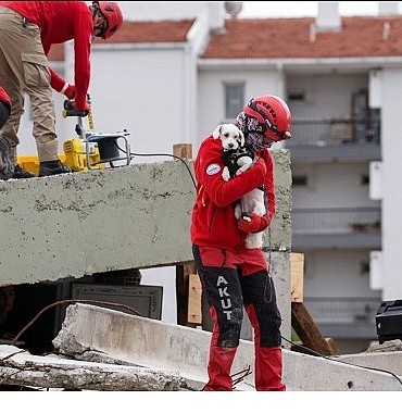 torbalida-hayvan-arama-kurtarma-egitimi