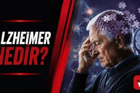 alzheimer-nedir