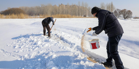 Van Büyükşehir Belediyesi kuşlar için doğaya yem bıraktı