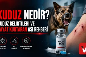 kuduz-nedir (1)