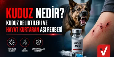 kuduz-nedir (1)