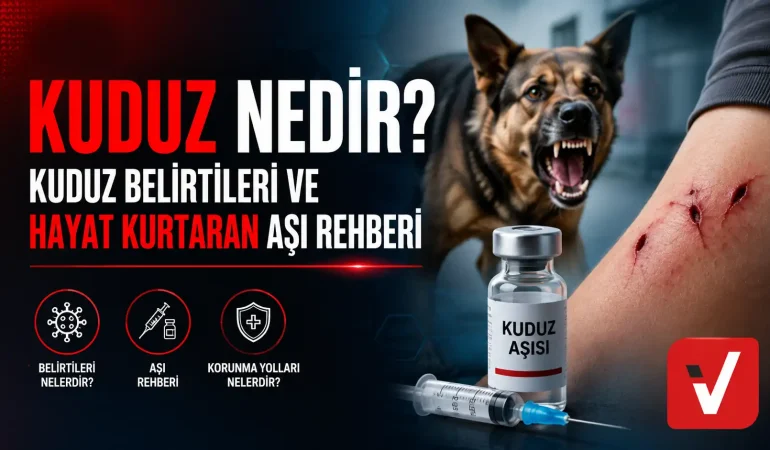 Kuduz Nedir? Kuduz Belirtileri ve Hayat Kurtaran Aşı Rehberi